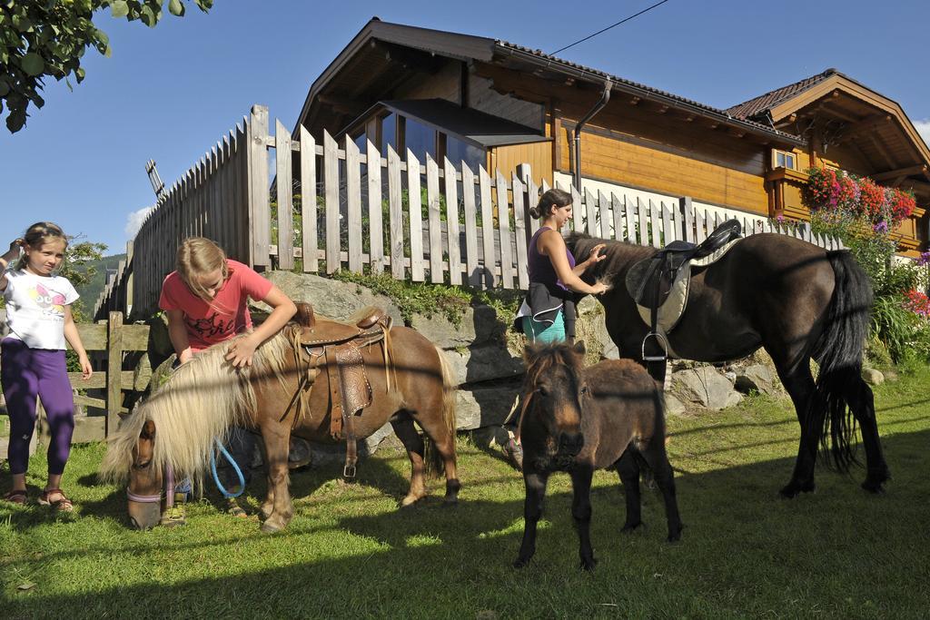 Villa Abelhof à Schladming Extérieur photo