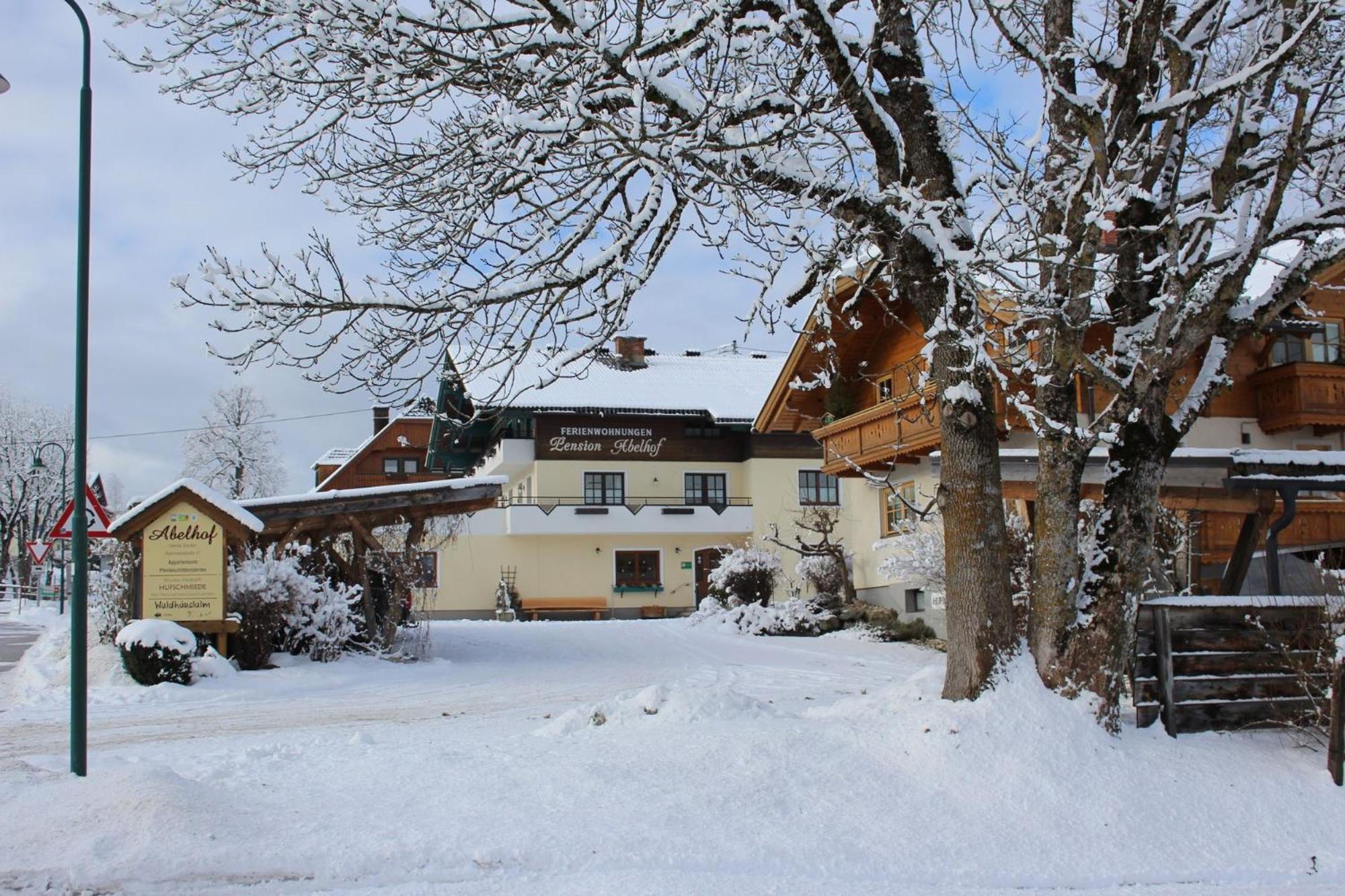 Villa Abelhof à Schladming Extérieur photo
